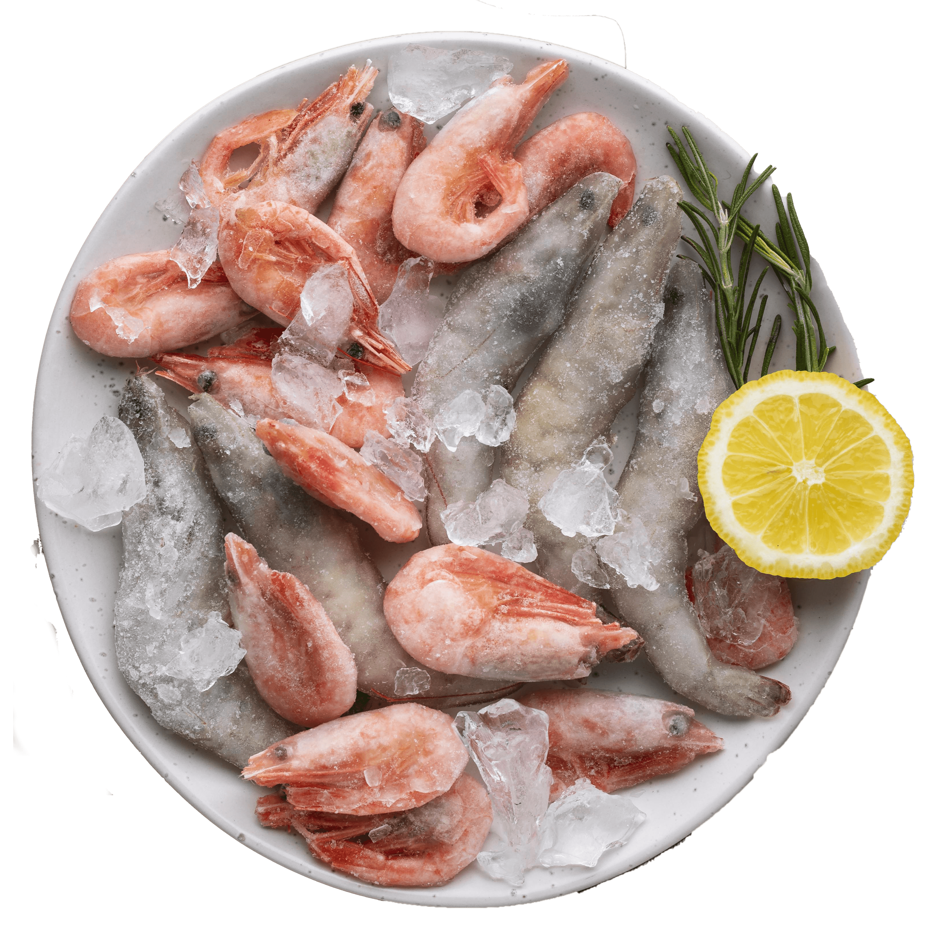 arrangement-with-frozen-sea-food-table copy